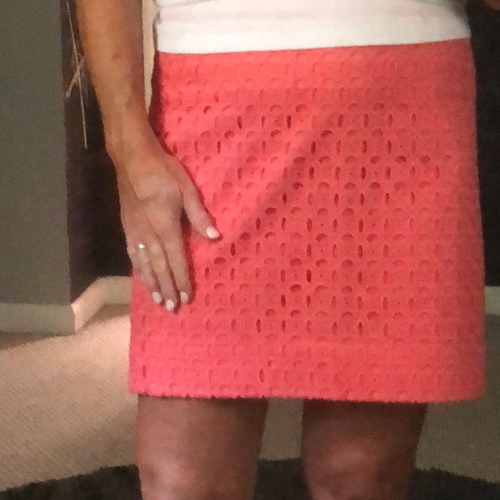 NWT J. Crew skirt
